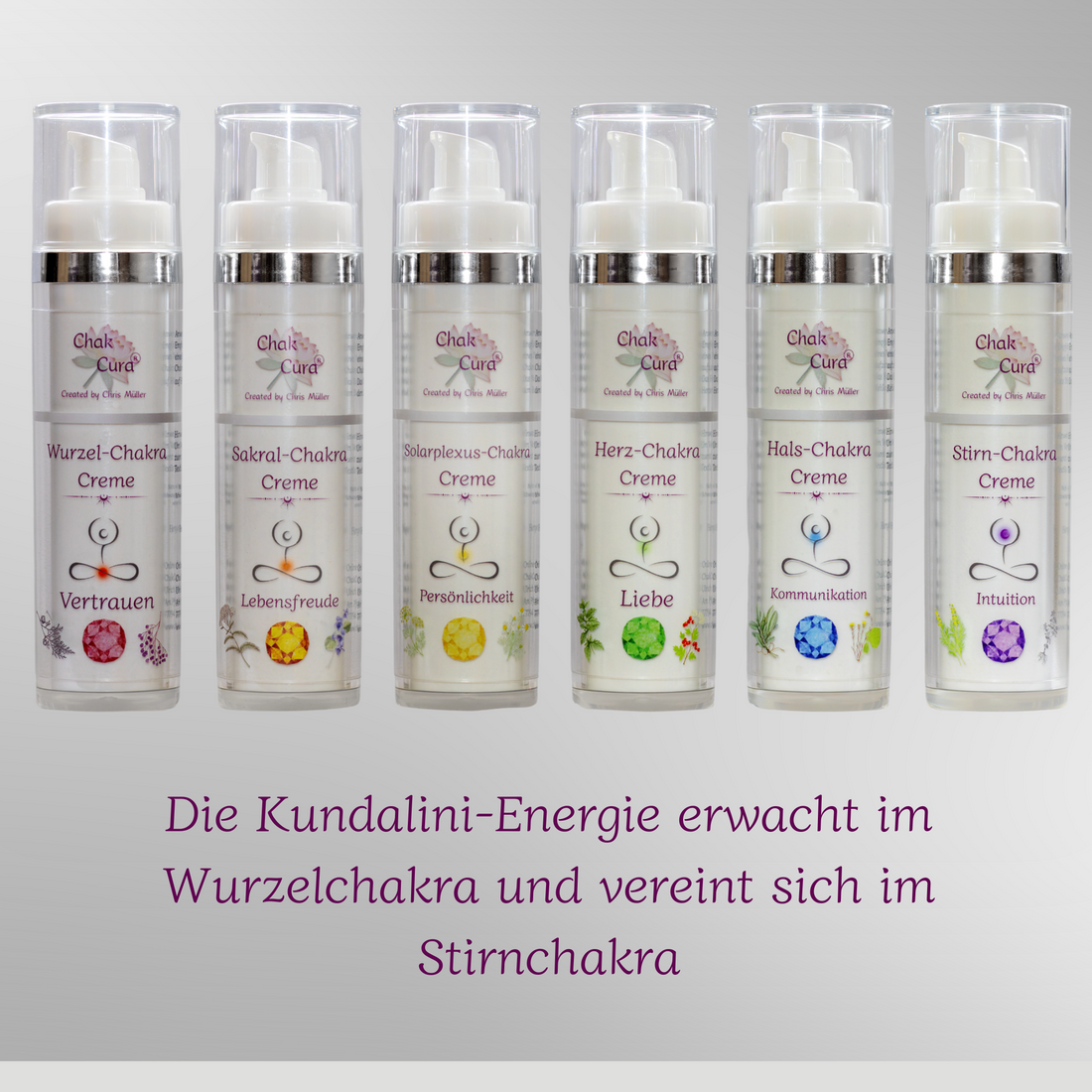 Chakra Creme Komplett Set - Alle 6 Chakra-Cremes im Bundle - Die Kundalini-Energie erwacht im Wurzelchakra und vereint sich im Stirnchakra